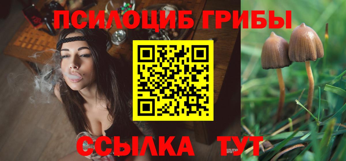 Псилоцибиновые грибы ЛСД Чернушка